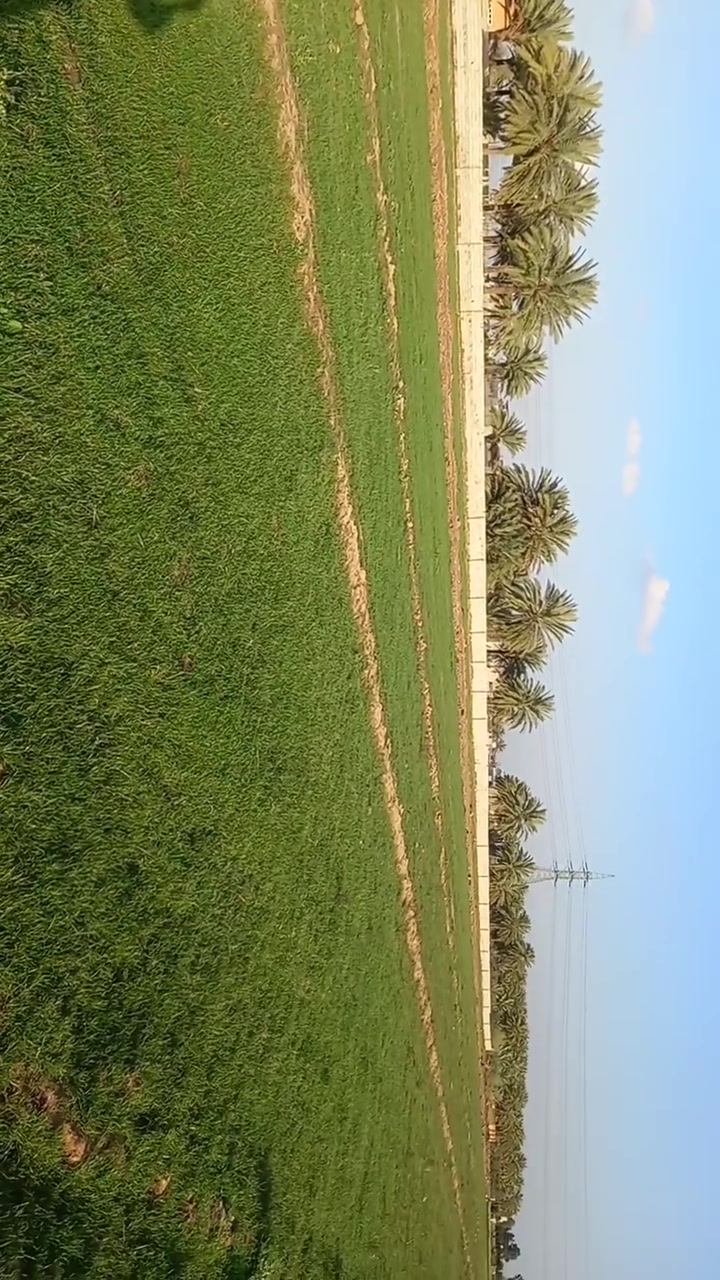 السلام عليكم ٥ دوانم للبيع بدور الزراعه السادسه مجاور ملعب الريان تبعد ٦٠٠م عن شارع بعقوبه الخالص تبليط واصل اليمه او قطع حسب الطلب ٢٠٠م او اكثر لتواصل   
***********
***********
