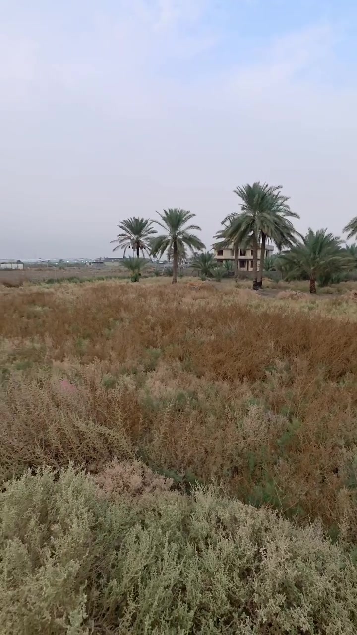 دونم • طابو زراعي • سند ٢٥