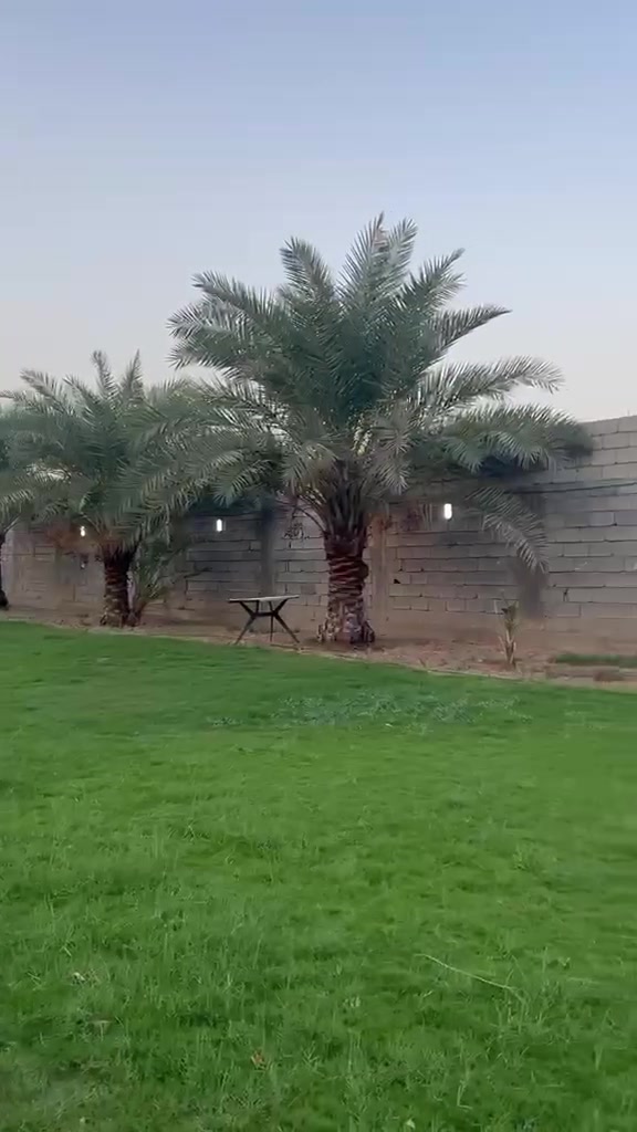 نص دونم • طابو زراعي • سند ٢٥