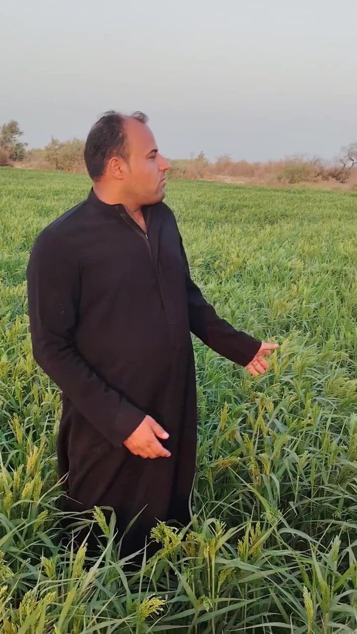 أرض زراعية مساحة 70 مكانه طريق القاسم قريبة على سوك دوهان سعر الدونم ٧ مليون ***********
