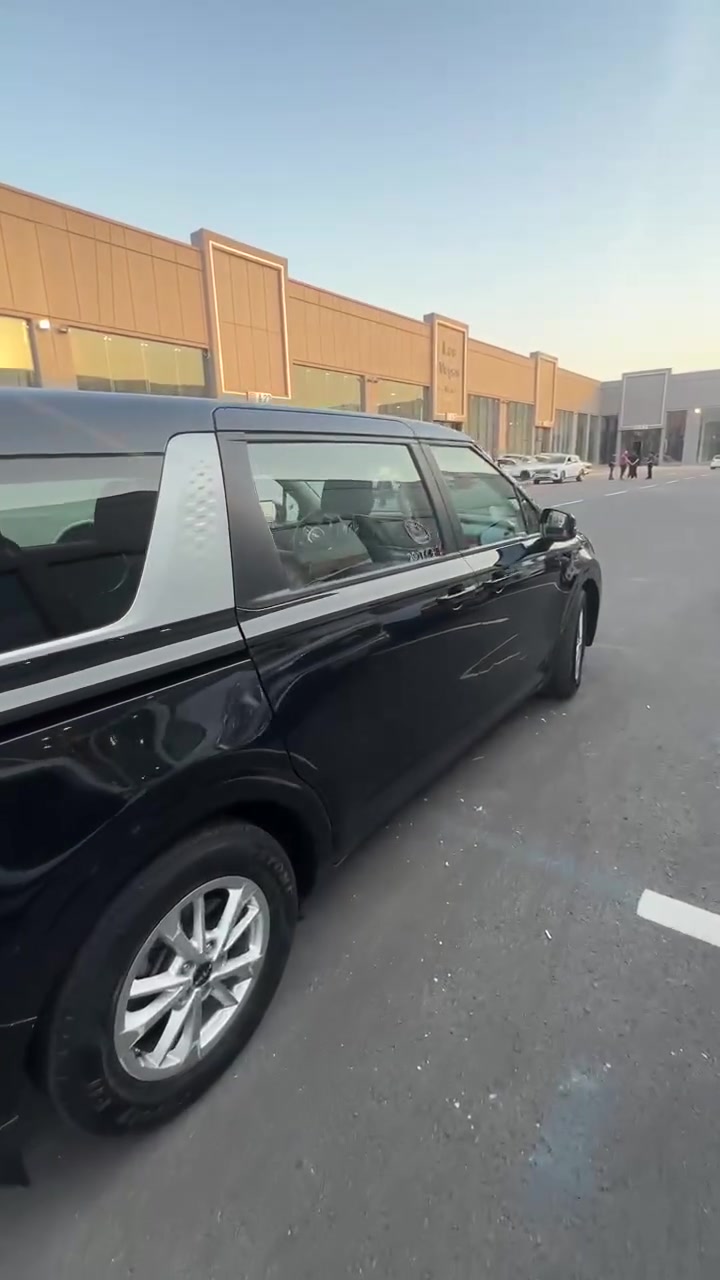 كرنفال • ٢٠٢٣ • الضرر بالسونار