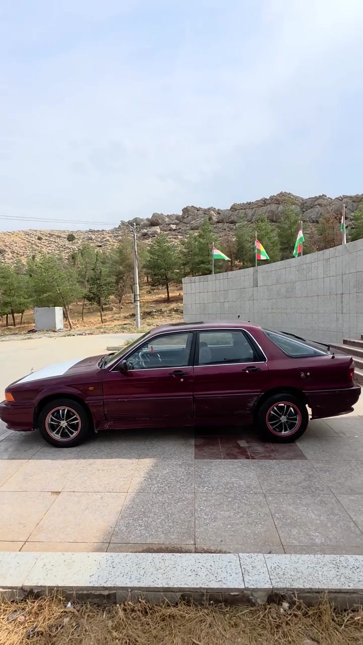نظيف • رخيص • رانيا