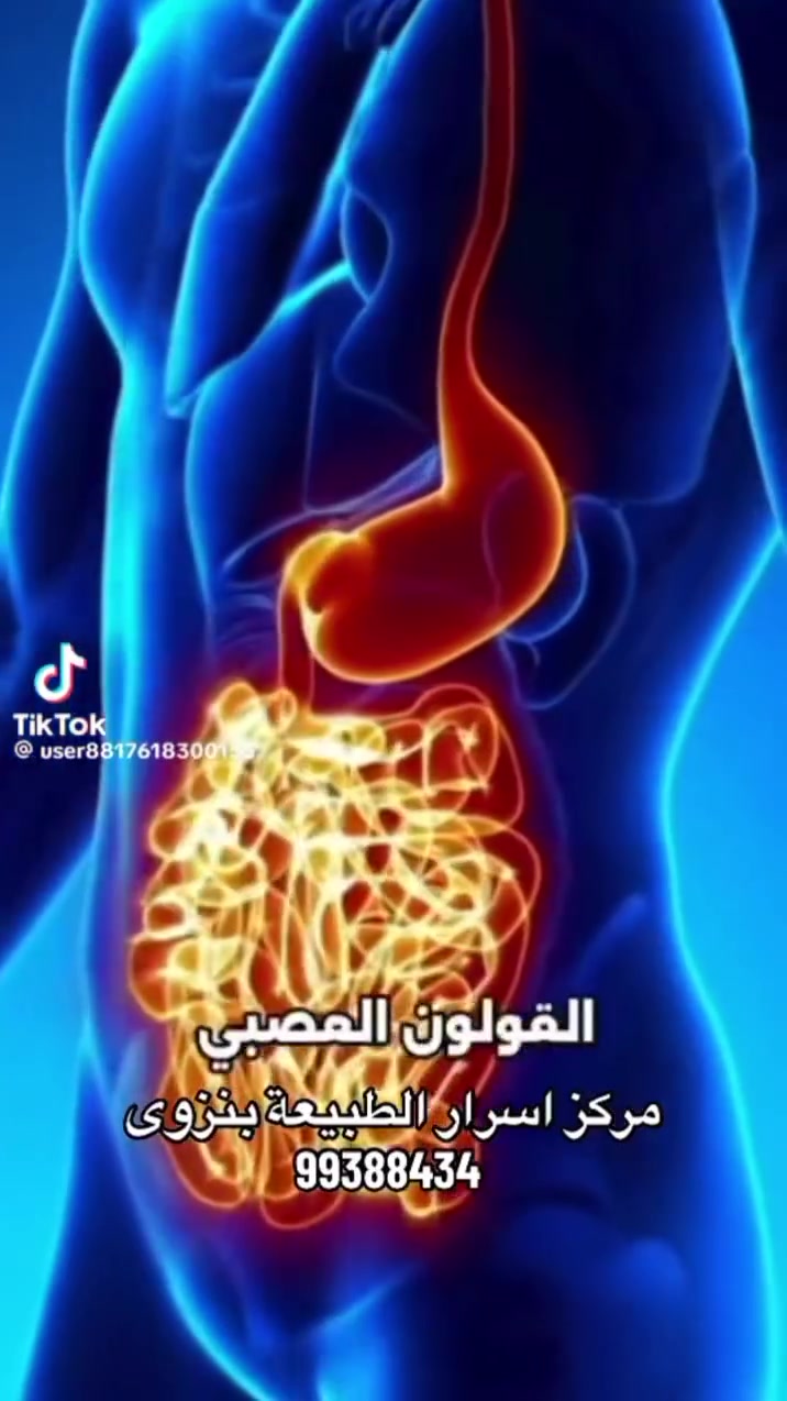 نزوى • خدمات • لا تفاصيل
