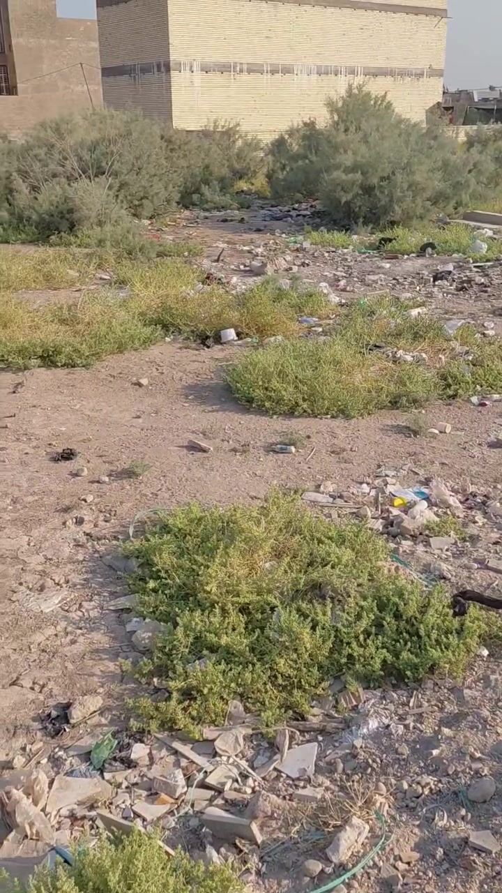 قطعة ارض طابو ملك صرف للبيع مساحة 250 م الصابيات الكاظمية الثانية مربع الضباط 13 الف بأسمي قريبة من شارع 100 تبعد عن الكاظمية ربع ساعة مداور مباشر  كامل خدمات ماء كهرباء بيع للجناي فقط السعر خاص او الاتصال واتساب ***********
