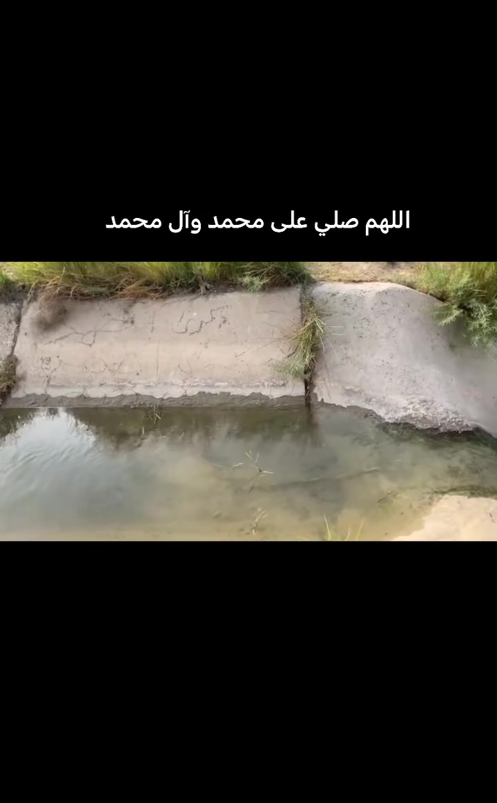 اليوسفية البعامر • دونم • واجهة ٢٦م