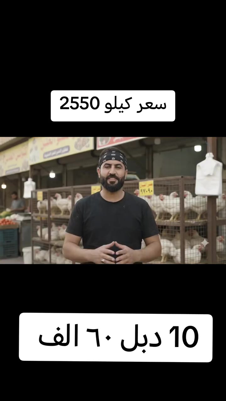 سعر كيلو 2550
10 دجاجات خشن ٦٠ - الف
العنوان بغداد ناحيه الرشيد يوسفيه *********** ***********
