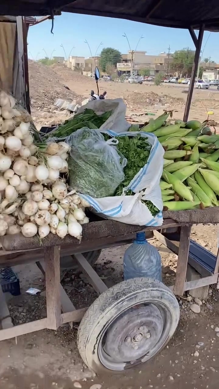 مسواك جديد • توصيل سامراء • يوم الاثنين