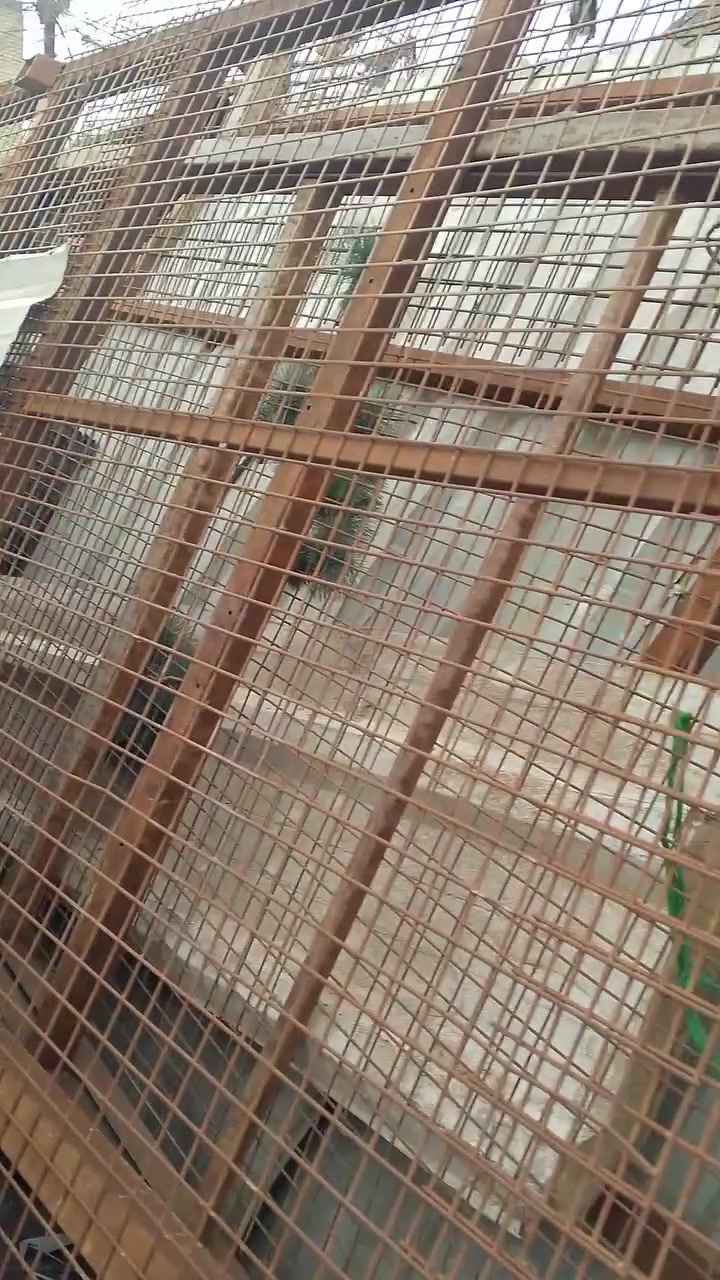 بغداد الشماعيه • سندوج • سياج حديد