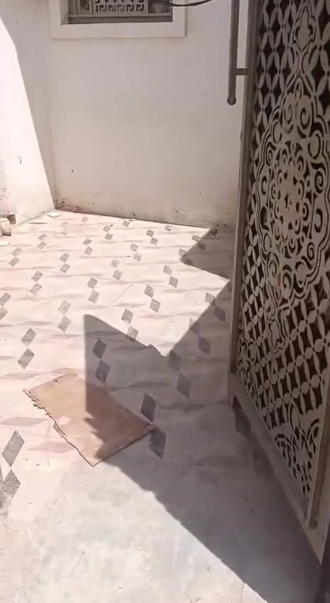 بيت للايجار فلوجه جبيل خلف مجمع الرحاب ب250

***********
***********
