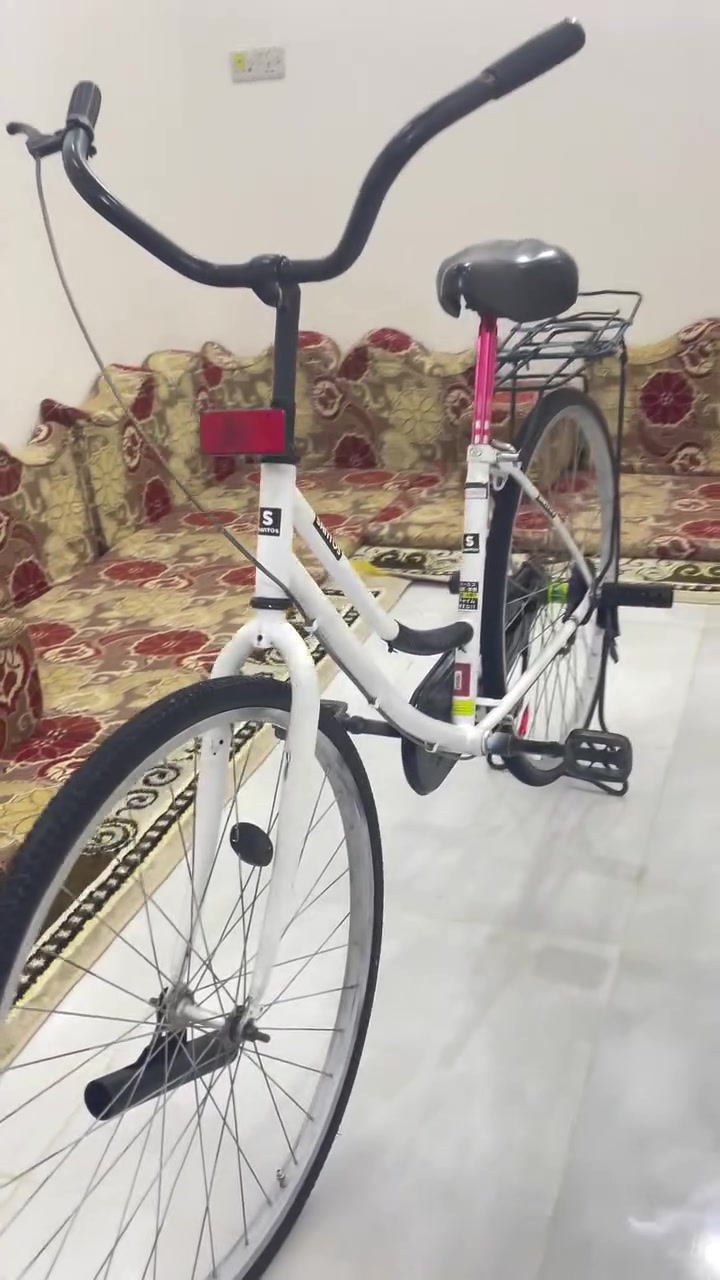 باسكل • نضيف • موديل ١٥