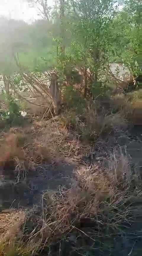 بيت زراعي مع دونم  مع محصار  الارض  مسيجه  كامل  قرب مدرسة الودق  على طريق  الساده الاخوان لمزيد من المعلومات  يمكنكم الاتصال على الرقم ***********
