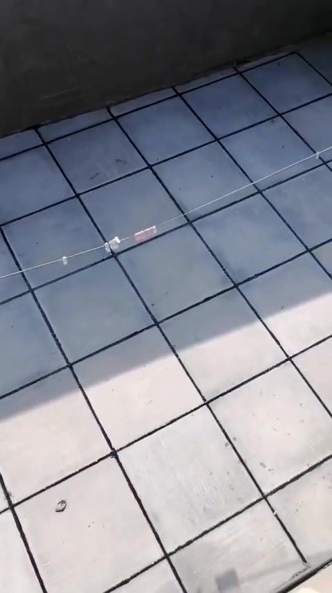 يالله اللهم صلي على محمد وآل محمد 

عملنا تطبيك وصيانة كافت الاسطح 
قلع واعادة ماستك التالف 

بمواد درجه اولى تتضمن 
فلانتكوت الاماراتي 
زفت الحار 
ماستك الحار 
نايلون بترو الزراعي 
زميج نهري 
شتايكر السماوه 
العمل يكون بأيدي ماهره 
العنوان ناصريه واقضيه ونواحي 
للاستفسار الاتصال ***********

