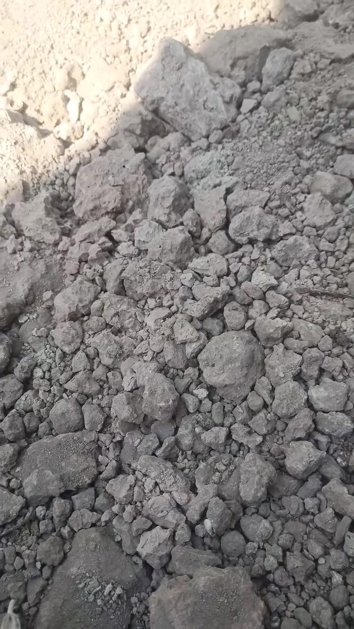 نخلة عجوة المدينة للبيع مكان بصرة مدينة هوير ***********
