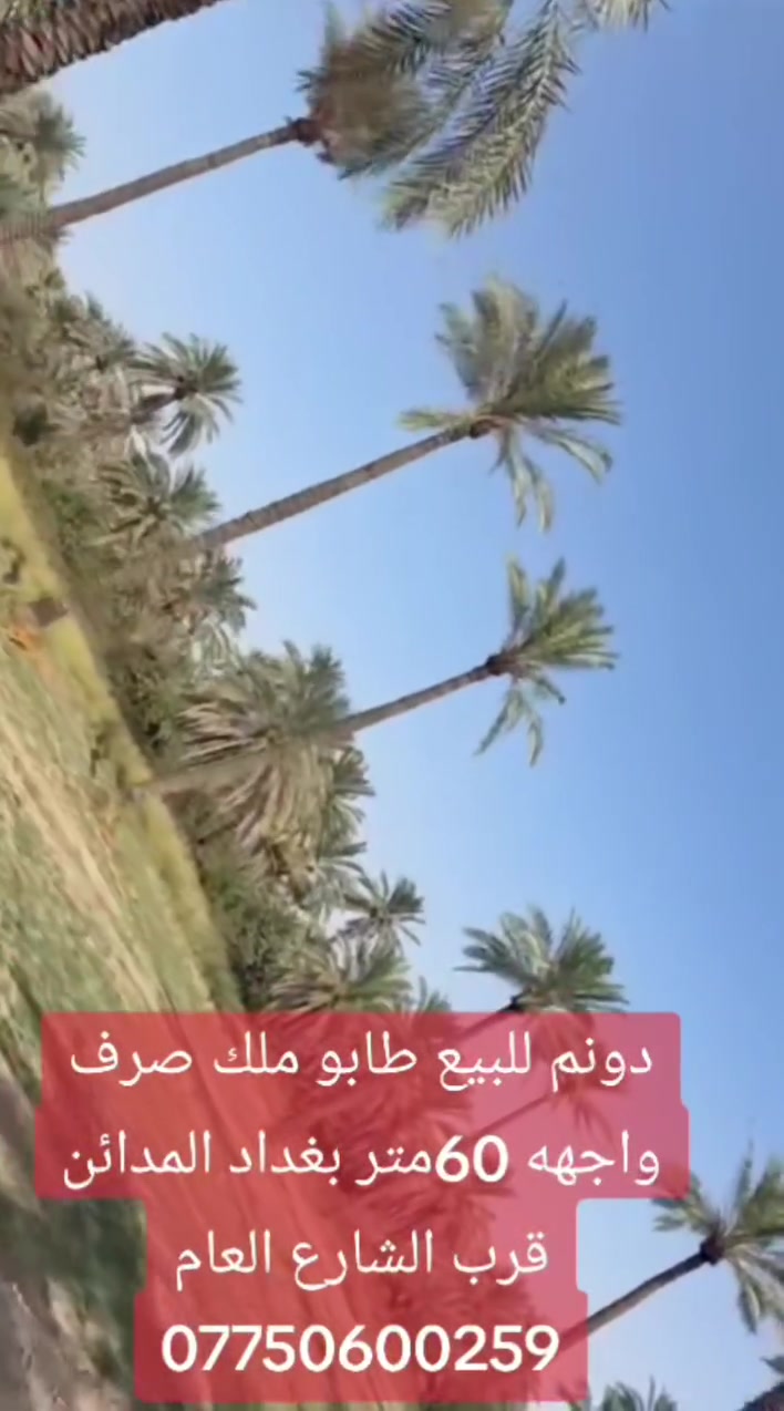 دونم • طابوملك • مخدوم بالكامل