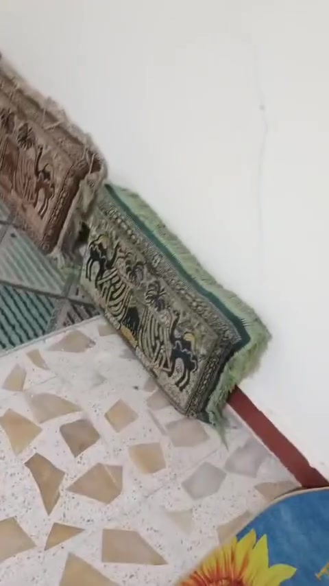 ثلاجة • أجهزة منزلية