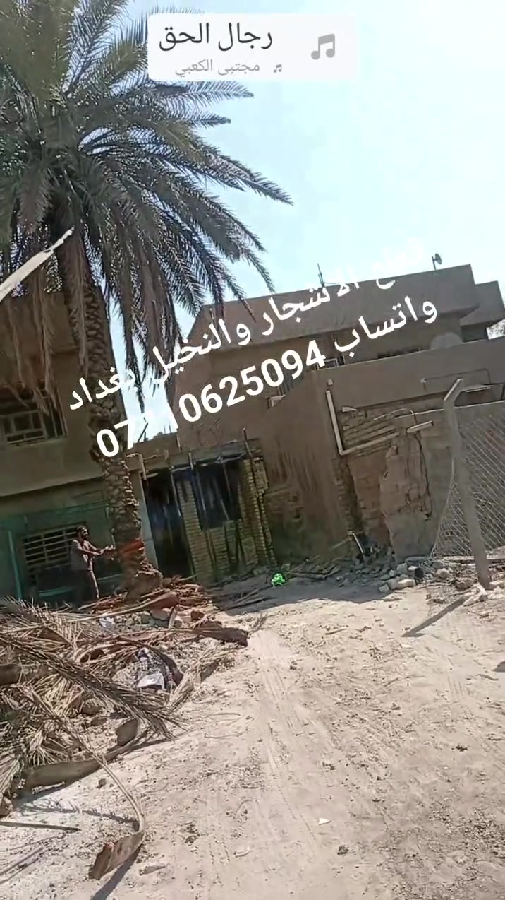 اقطع الأشجار والنخيل بغداد واتساب كادر معترف في التقطيع وتقليم شعارنا المصداقيه ***********
