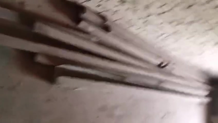 نجف • نضيفه • جينكو