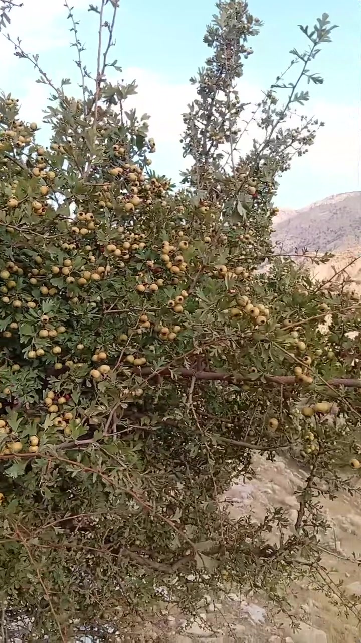 بيع سريع • رخيص • مستعجل