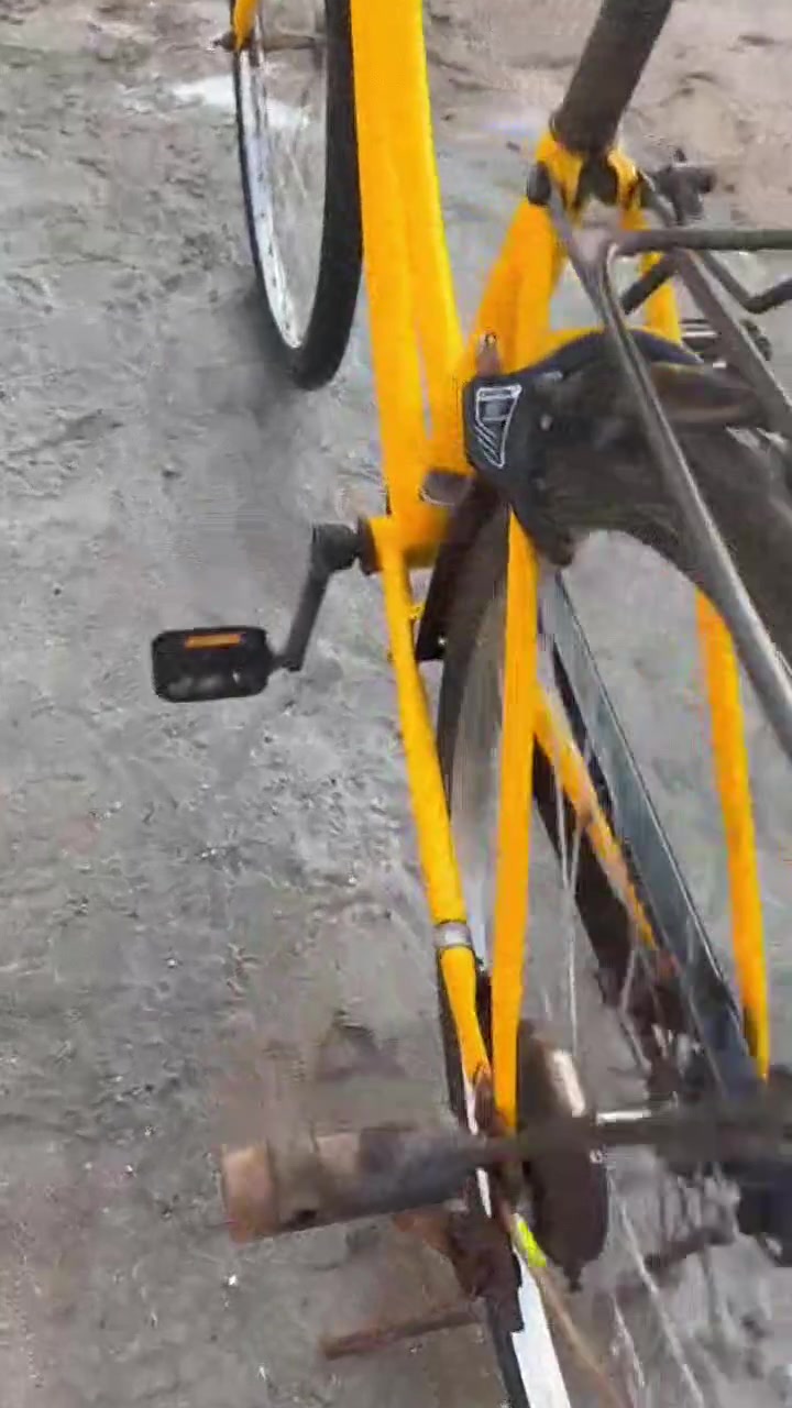 بايسكل • سياحي • نضيف