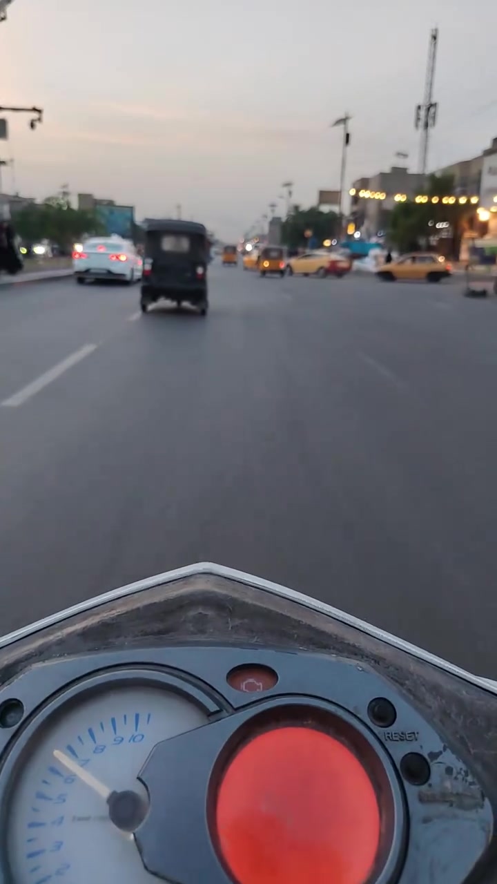 سكنس فحل • ياباني • معدل تخبل