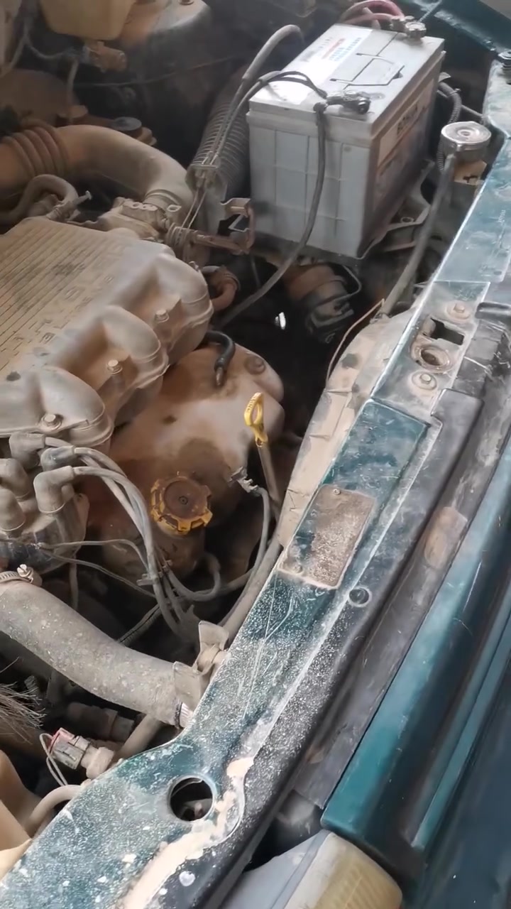 جسر الطالبيه • ليث مستبوشي • بالضمان