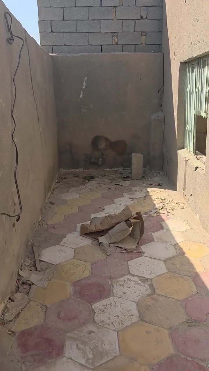 سلام عليكم بيت للبيع زراعي حي الحكيم المساحه 200السعر 22وبي مجال للشراي تصل ع الرقم ***********
