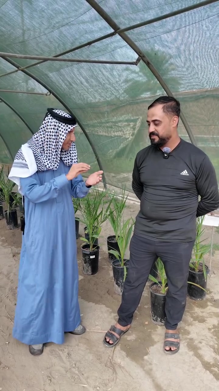 ثقتكم هي أكبر شهادة نعتز بها 🌿
في شركة البشير العالمية، نؤمن أن تجربتكم هي عنوان نجاحنا…
واليوم نترك الكلمة لعملائنا ليحكوا عن تجربتهم معنا.للاستفسار والتواصل:
قسم المبيعات النخيل : ***********
قسم المبيعات النخيل : ***********
قسم الاسمده والتوصيل: ***********
الموقع: محافظة بابل، مدينة الحلة، طريق منطقة عوفي.
#البشير_مشروع_وطن
#شركة_البشير_العالميةآن

