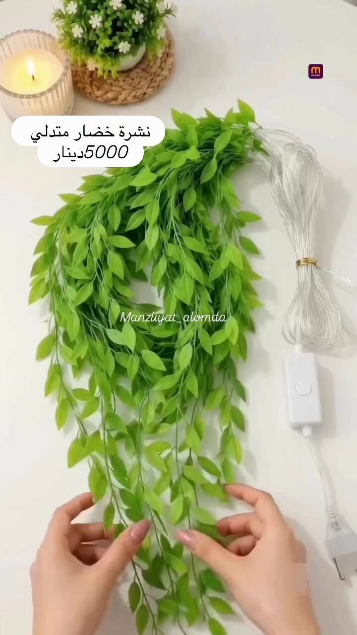 نشرة خضار • متدلي • الموصل حي فلسطين
