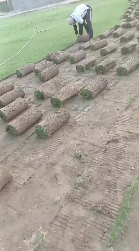 ثيل • مشتل النور • توصيل