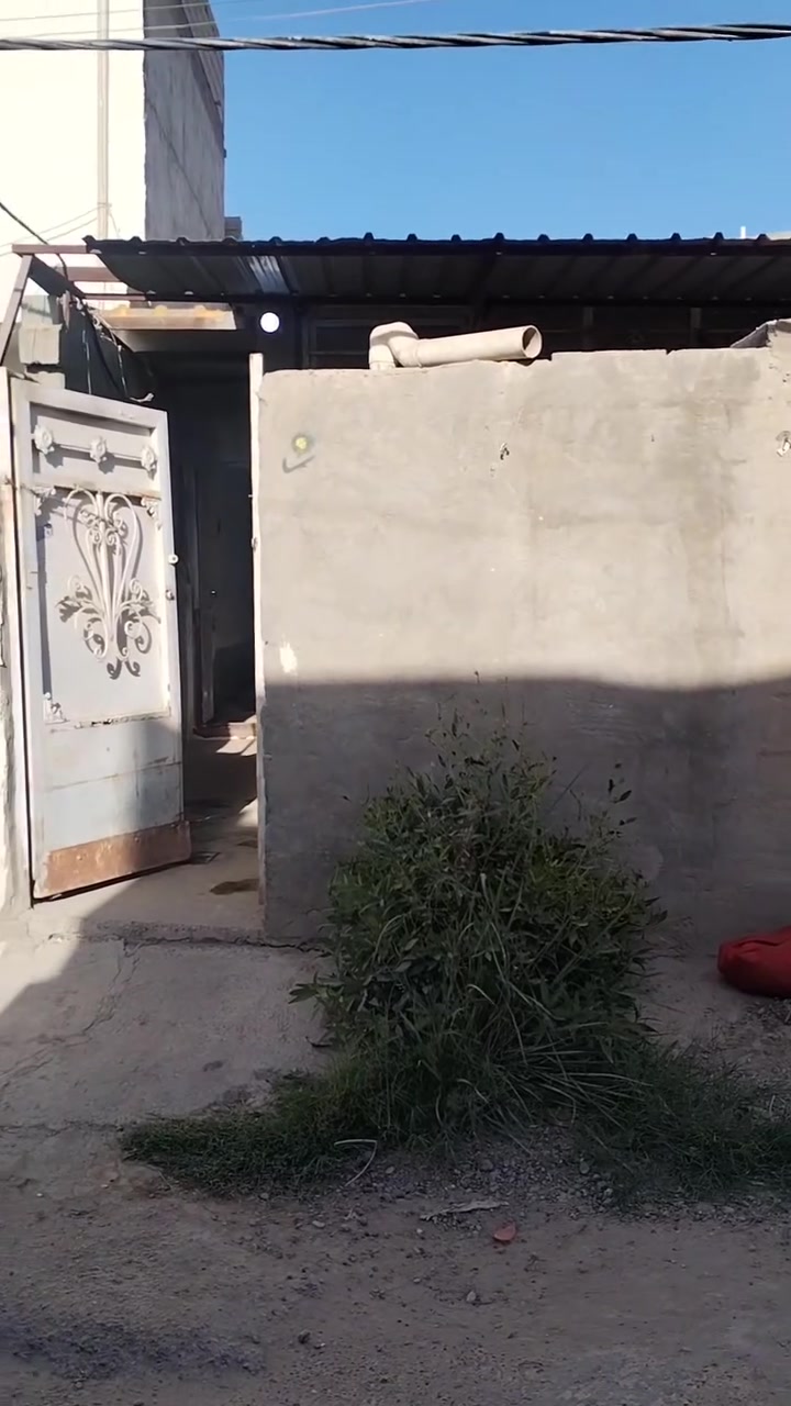 السلام عليكم (بيت للبيع زراعي سند ٢٥)  ١٠٠ متر مساحته بصفحه بيت سيد مولئ الفرع 6 بيت سقف ثانوي سندويش  يتكون من ستقبال وصاله وغرفه كما موضح في فديو سعره ٢٨ مليون
تواصل ع رقم هذا ***********
