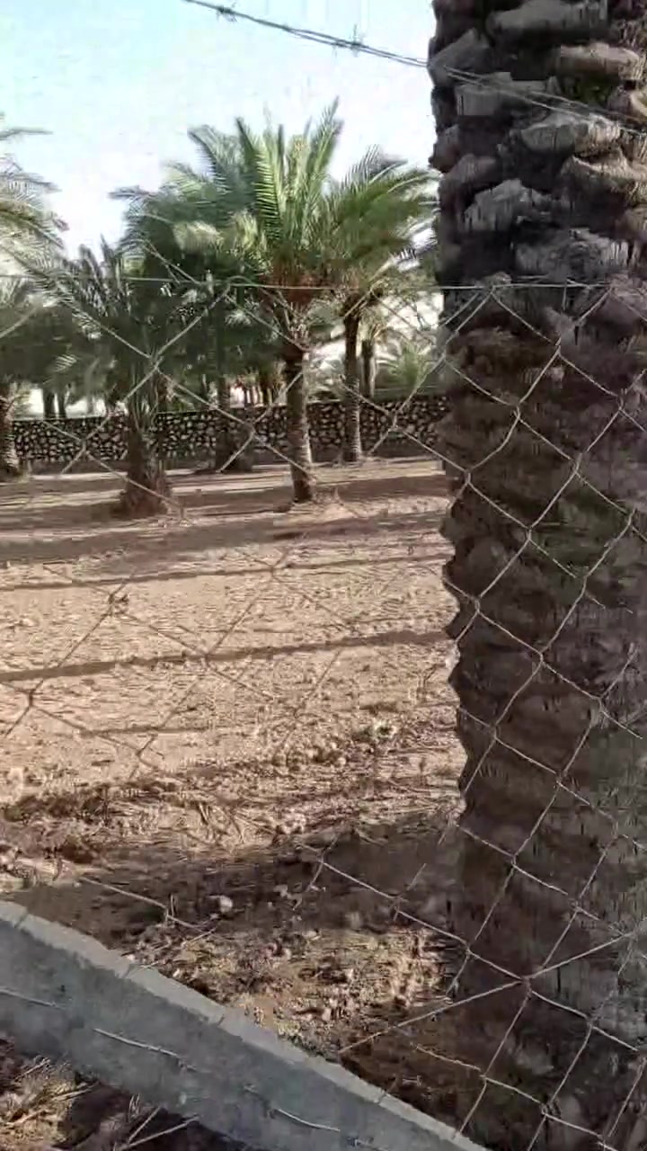 ارض لبيع مساحه دونم و 300قرب نبي الله إبراهيم الخليل عل شارع سنتر لتصال ***********
