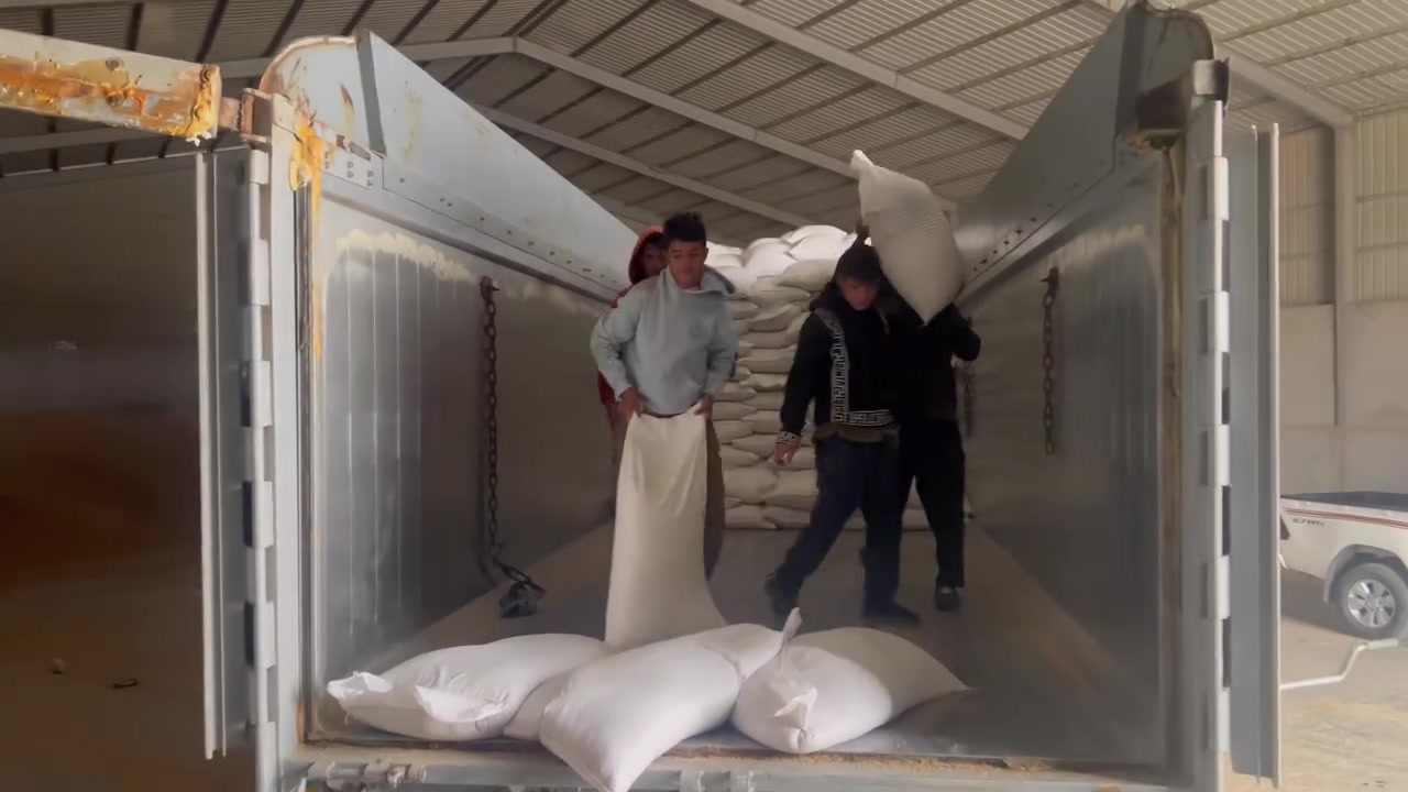 اللهم صل على محمد وال محمد 
تحميل حنطة صنف البة الى كوت 

متوفر جميع انواع أصناف حنطة 

سيد عباس القوشجي
***********
دكتور حسين 
***********
@إشارة
