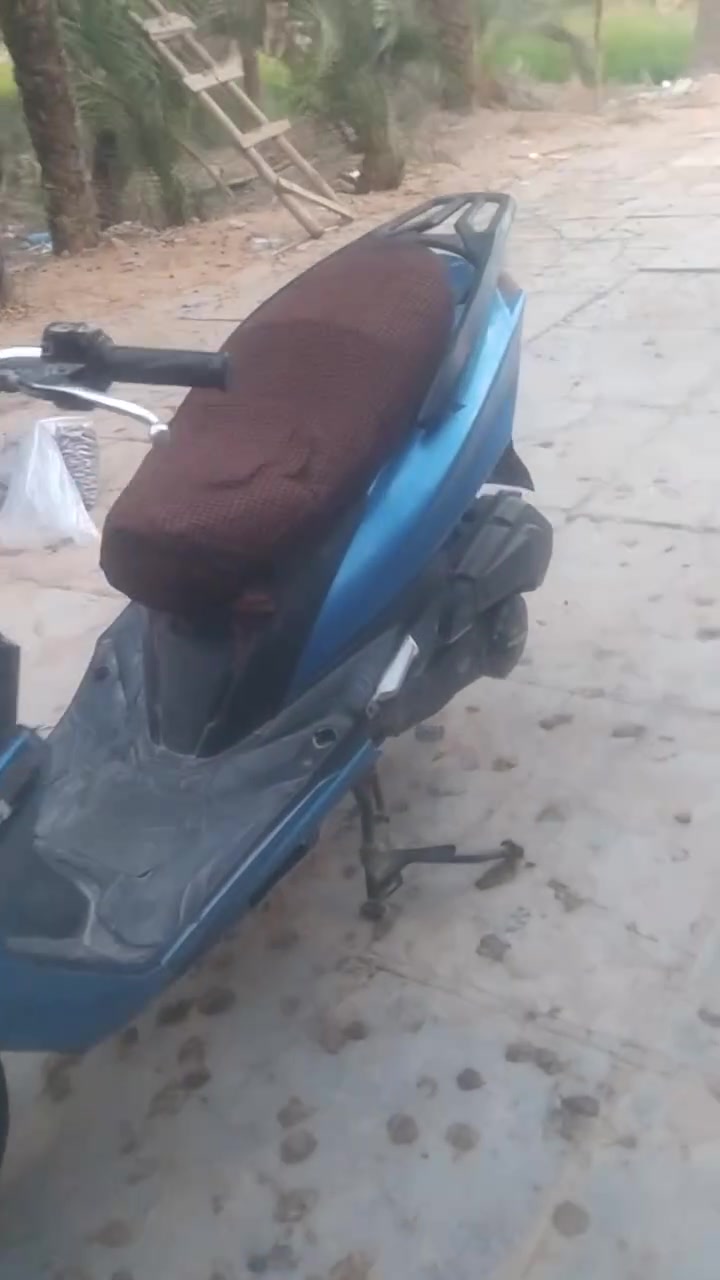 سكنس • فول نضافه • خرسه