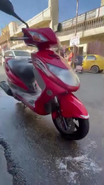 سكنس فحل • ياباني • ماشيه ٦٦
