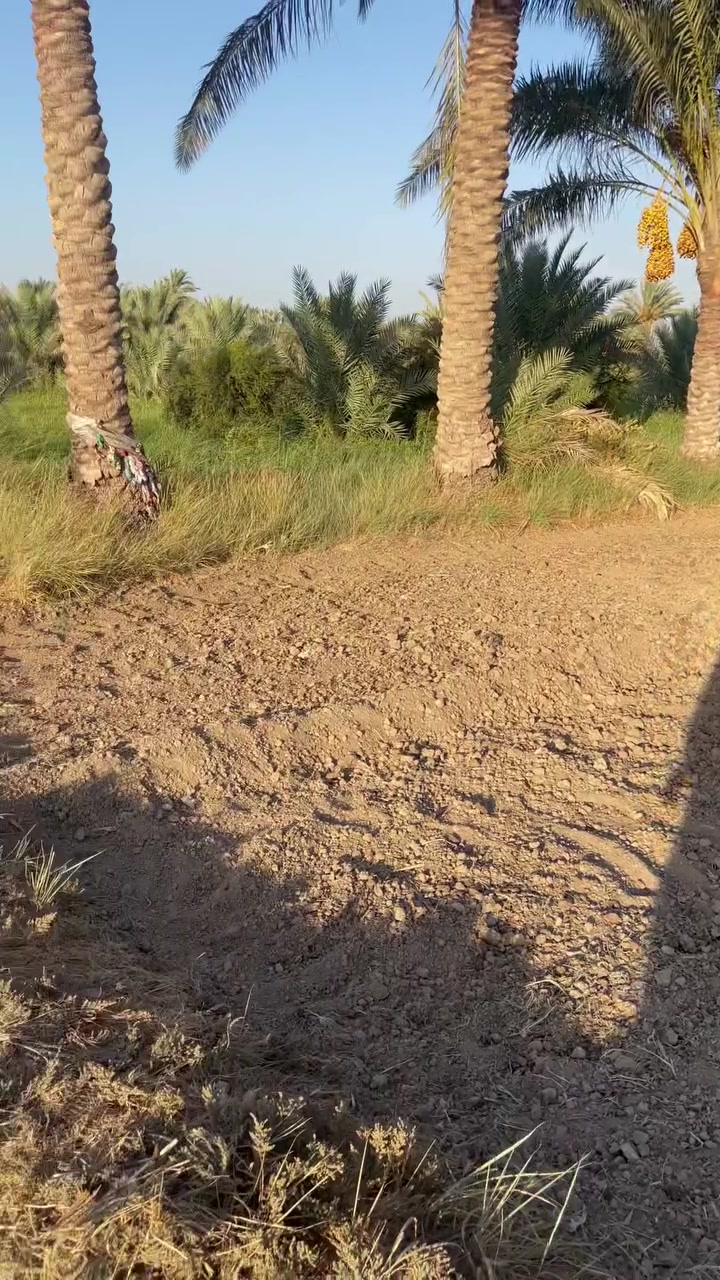 البيع نص دونم طابو سند 25 واجهه 20متر في كربلاء منطقة الزبيلية شارع ام البنين /*********** /***********
