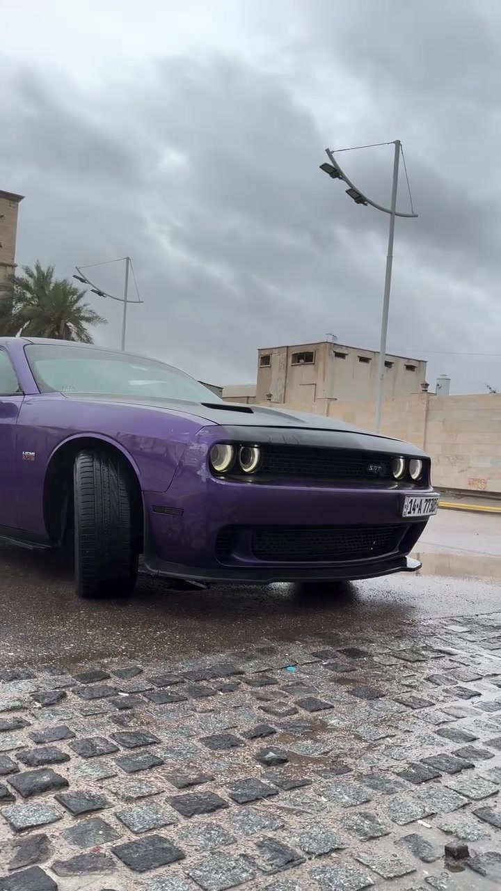 دودج ارتي • بنفسجي • ٢٠١٦