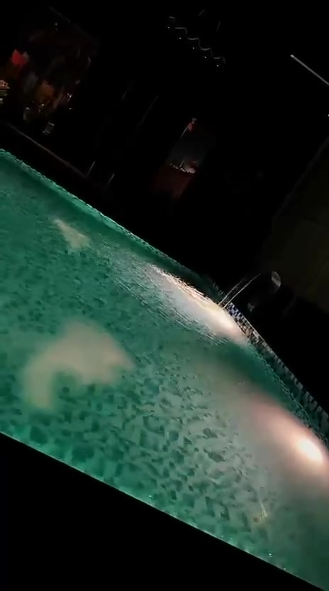 🌿مزرعه للايجار اليومي 🌿
📍العنوان بغداد الدوره البوعيثه 

❇️ملاحضه يتوافر حجوزات للحفلات مثل ؛

🔹أعياد ميلاد _ خطوبه _اعراس 

لحجز  الاتصال ع  الرقم المثبت

  🔴***********🔴
