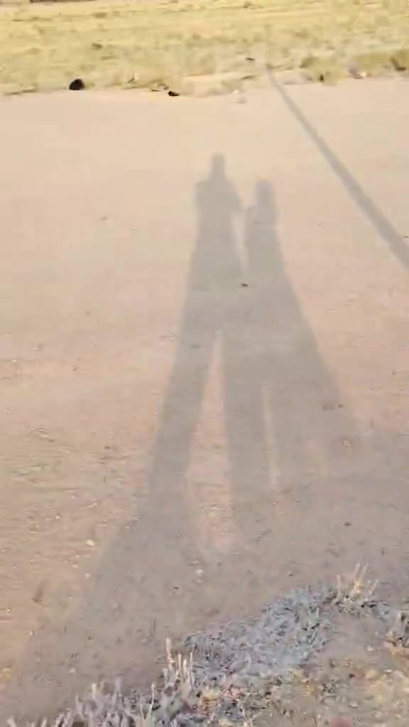 االسلام عليكم ورحمة الله وبركاته
للبيع قطعة أرض مميزة 
، مثالية جداً لبناء (موكب حسيني أو حسينية) 
لخدمة زوار أبي الأحرار (ع).📋 
تفاصيل العقار:
المساحة: 200 متر مربع.
الموقع: 
خلف الحسينيات - عمود 392.
القرب من الشارع:
 تبعد 60 متراً فقط عن شارع (يا حسين) الرئيسي.⚡ الخدمات المتوفرة:
كهرباء مستقرة.
شبكة ماء متكاملة.
الشارع مبلط بالكامل.
📞 للاستفسار والتواصل مباشرة مع صاحب الأرض:واتساب / اتصال: ***********
          واتساب / اتصال: ***********
