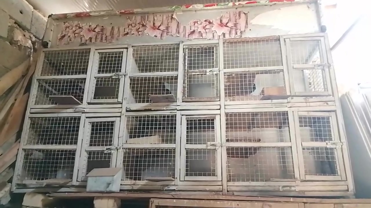 سلام عليكم متاح خانات ام 6 السعر 75 الف قفل بدون عمله مكاني البياع تقاطع درويش التفاصيل بل فيديو ***********
