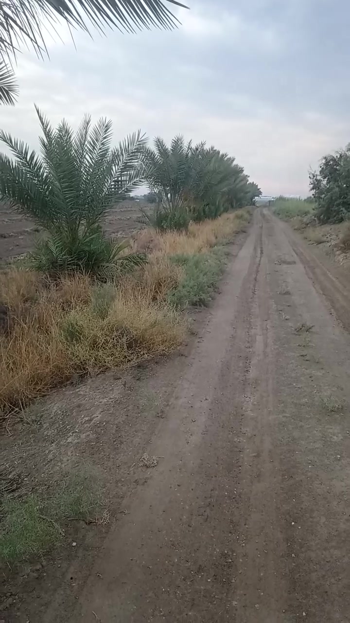 ٢ دونم • شارع الرابع • مخدومه