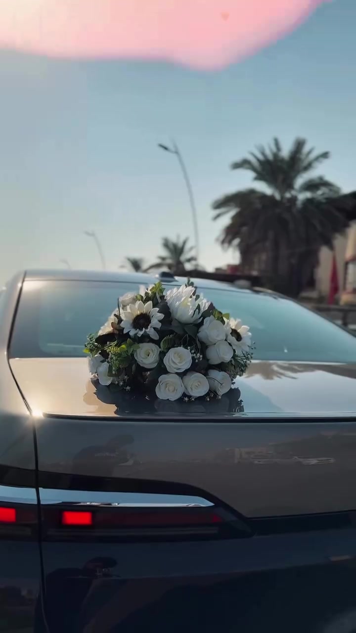 خدمة موقعيه • البصرة • سيارات