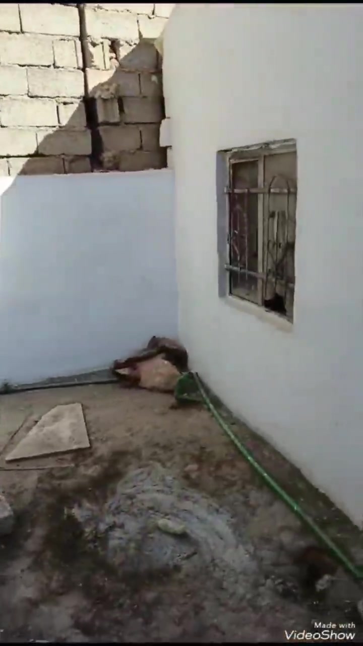 بيت للبيع 60 متر سند 25  قرار محكمه بناء اعكاده طابق واحد  المكان الجاير مقابل  منتجات الكفيل بداخل الفرع  سعره جدآ مناسب  سعره 35
للتواصل 
***********
