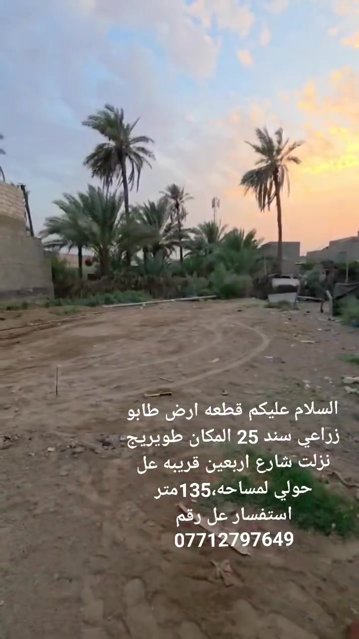 طويريج نزلت • طابو زراعي • ١٣٥م