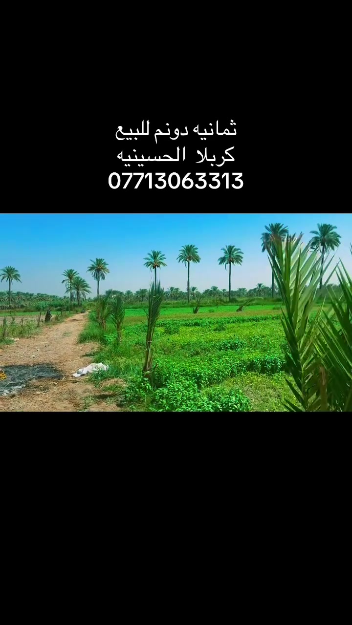 كربلا الحسينيه • أرض • ٨