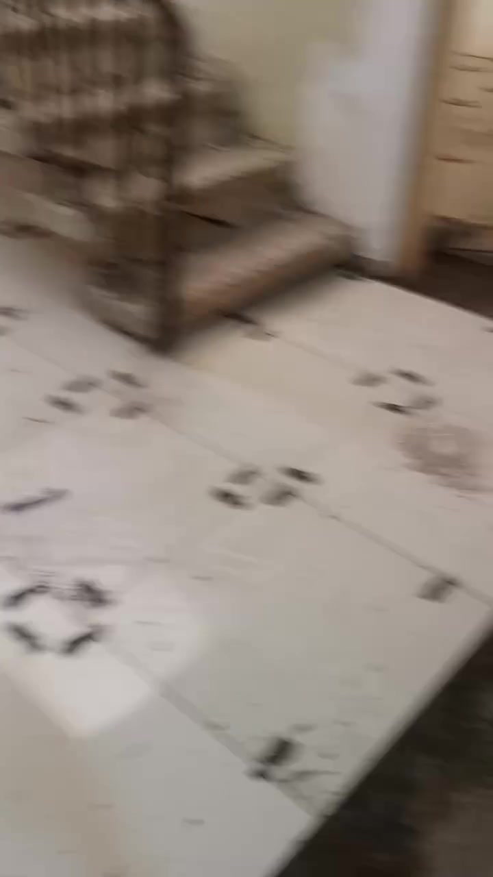 خلفه سيراميك ***********
