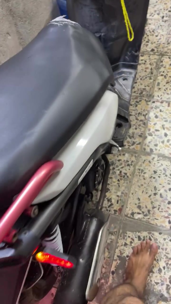 سكنس جبلي • كفاله • لايتات زنون