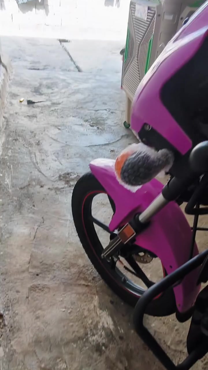 دايون • ٢٠٠ • موديل ٢٠٢٣