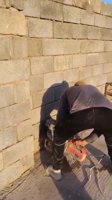 المنشار كهربائي لقص الخشب
كتر الكهربائي لقص الجدران كافه 

كتر البانزين لقطع الكونكريت 

سكلة حسن خيرالله  

صعدة السيد علي 

قرب كوفي مزاج

رقم الهاتف ***********
