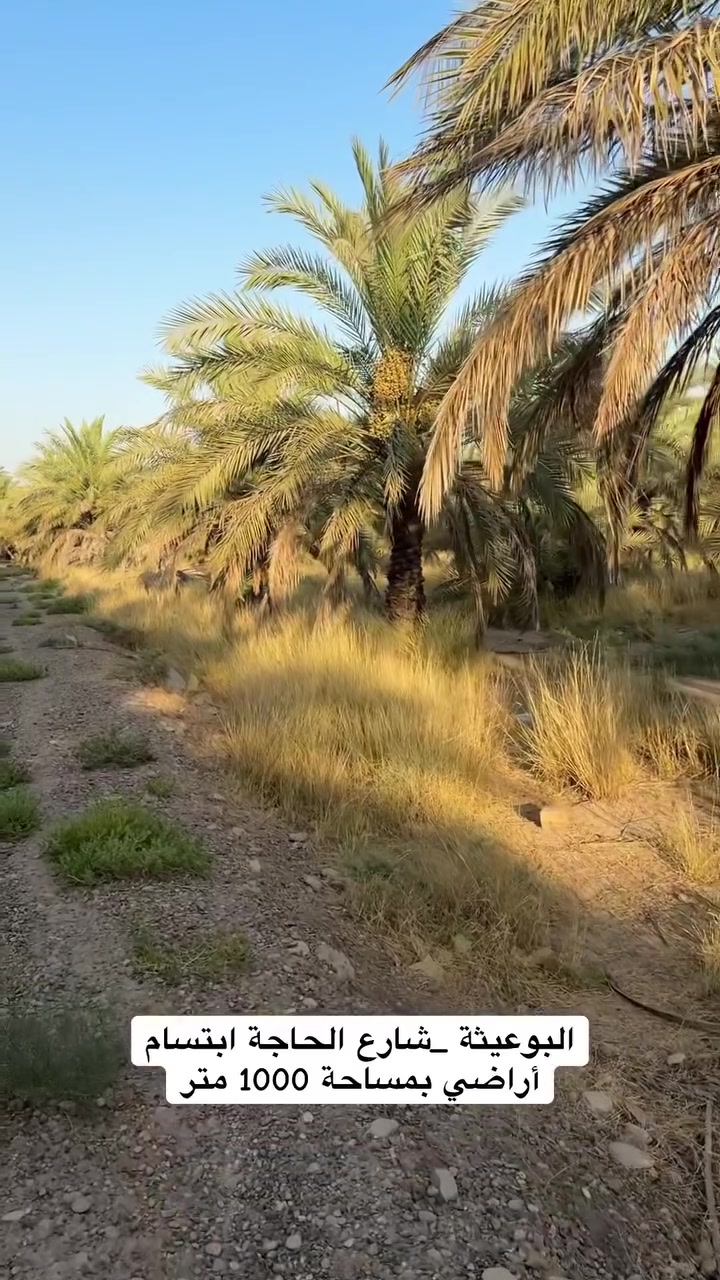 1000 متر للسكن او للاستثمار  #البوعيثه شارع الحاجة ابتسام
***********_***********_***********
