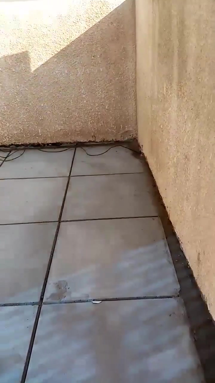خلفه تطبيك شتايكر بليوميه قطعي نشتغل *********** ***********واتساب ***********و
